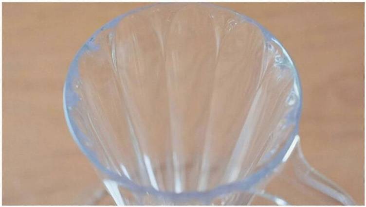 Petal Translucent Filter Cup
