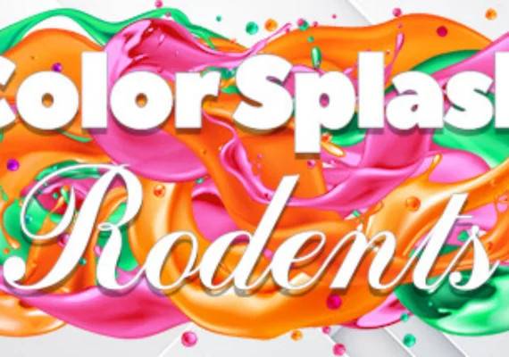 Color Splash Rodents PC Game