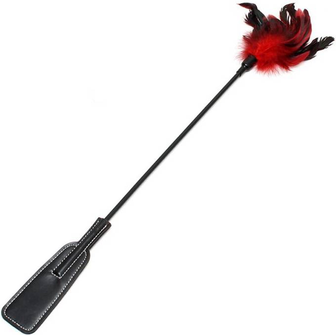 Feder Gerte