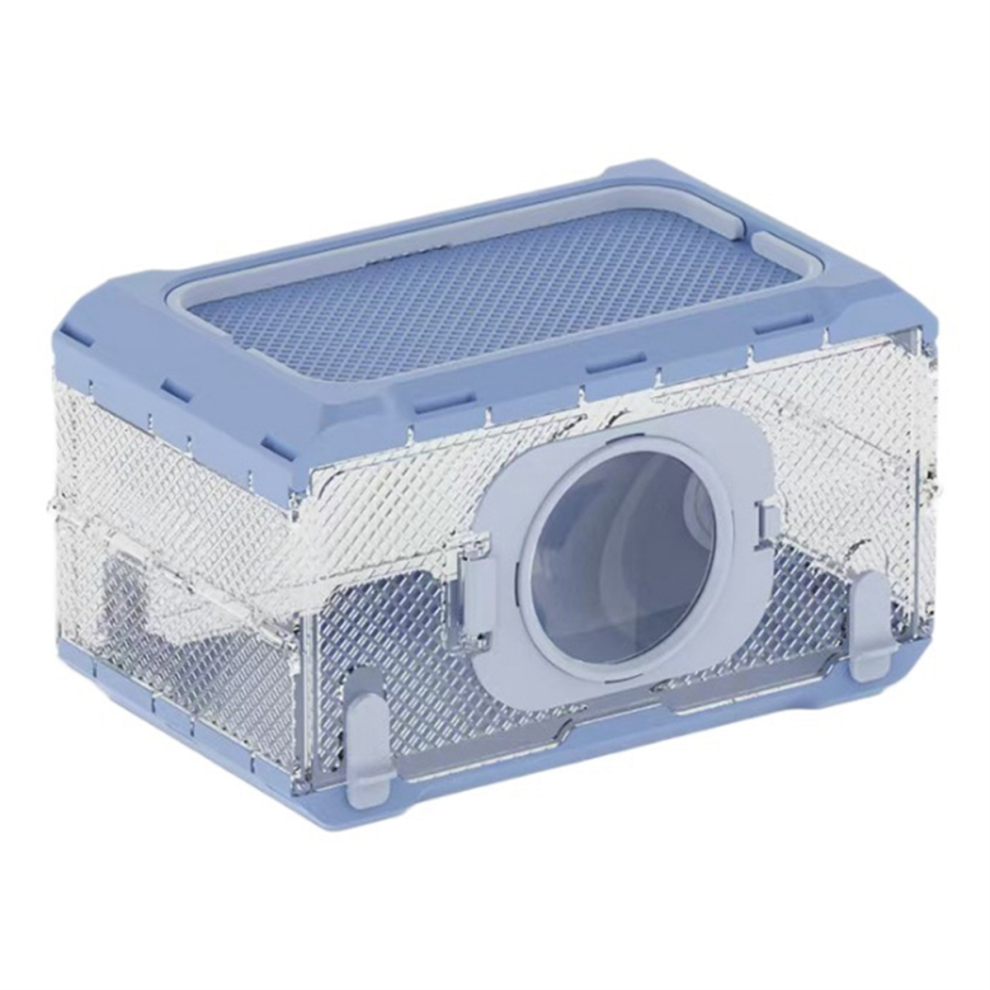 Insect Observation Kit
