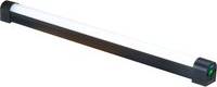 Q-Lion Tri-Colour LED Light 24 Inch