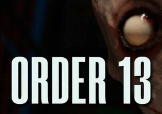 Order 13 PC Steam Key