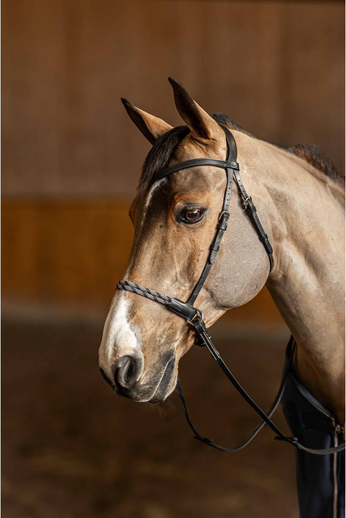 Anatomical Riding Bridle Without Bit Freedom - Noir