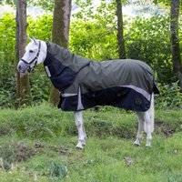 Pro 200g Turnout Rug - Green