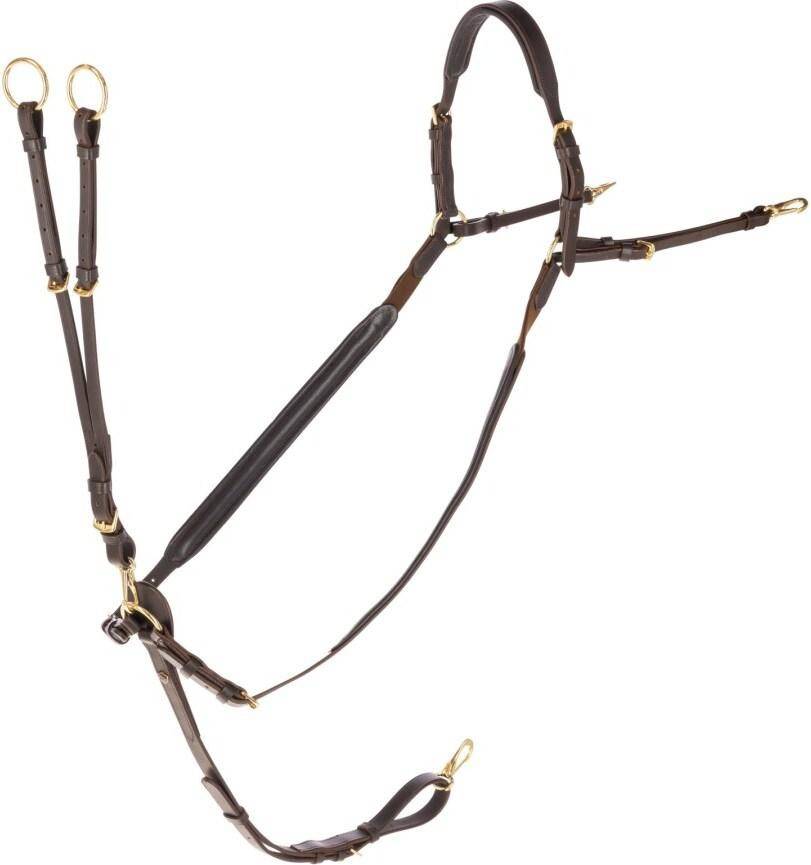 Martingal Mit Ringen - Marron