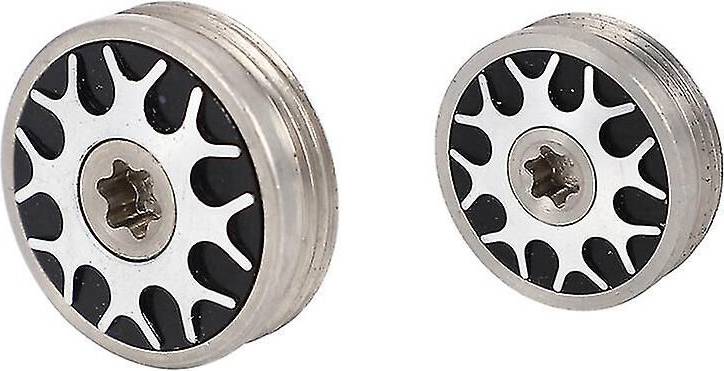2Pcs Lab Custom Weights 25G