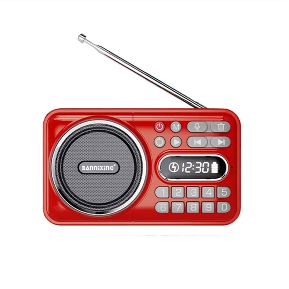 Saudism Portable Mini FM Radio Bluetooth LED Display