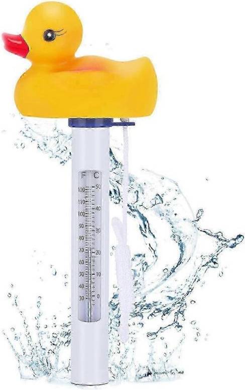 Floating Pool Thermometer Duck Style Edition 0618