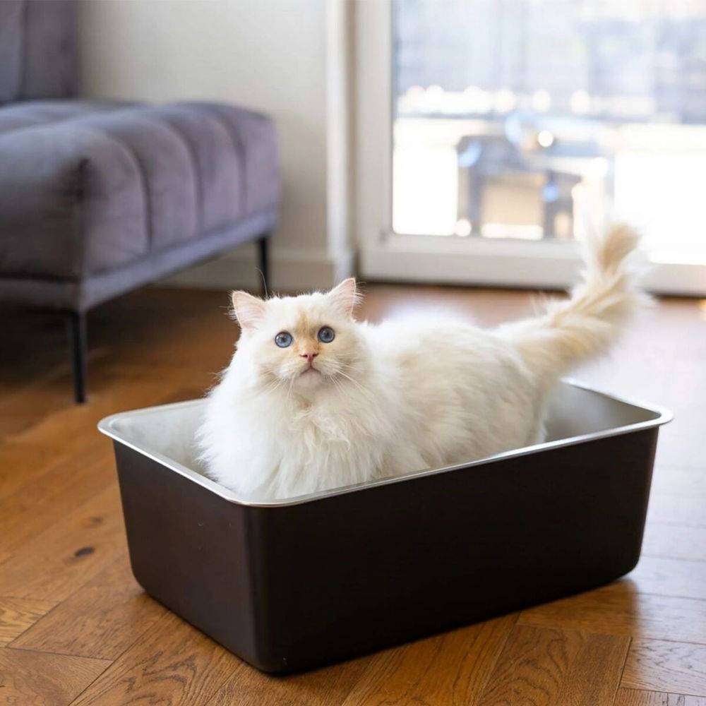 Kattlåda Rostfritt Stål Svart