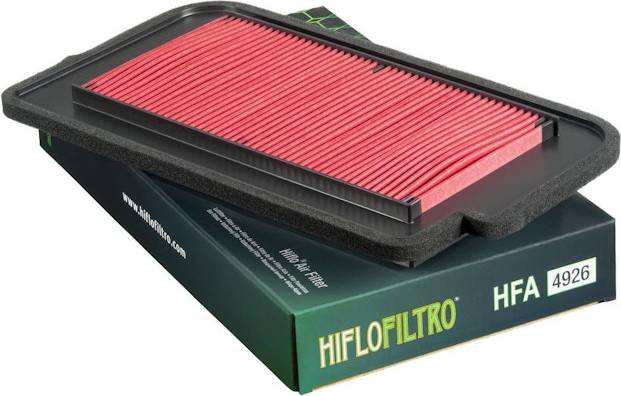 HFA4926 Air Filter Rosa