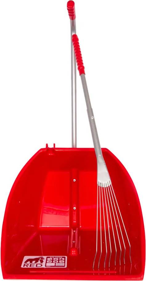 Big Tidee with Long Metal Rake