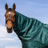 Neck Rug Tyrex 600D - Vert