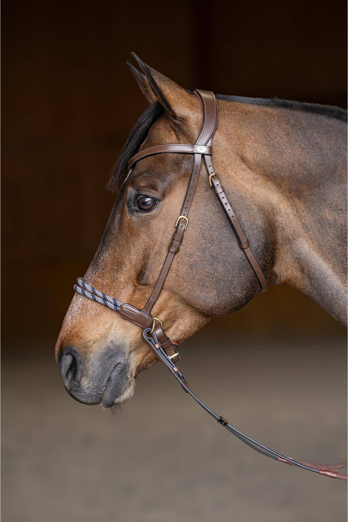Anatomical Riding Bridle Without Bit Freedom - Marron