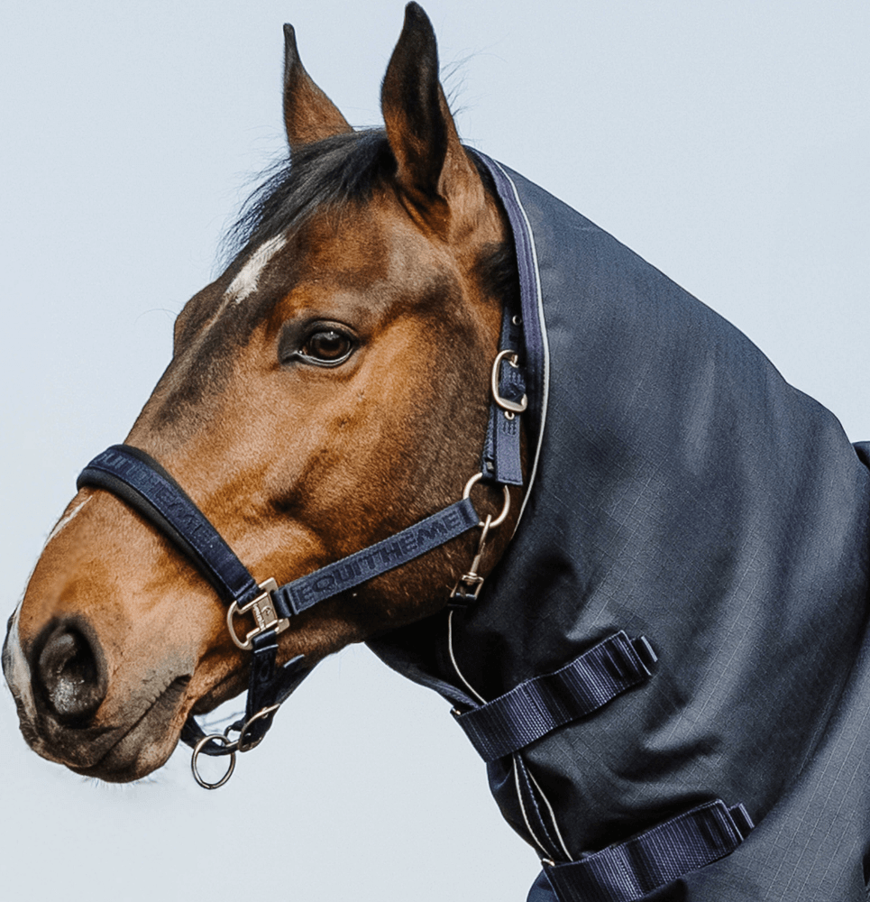Neck Rug Anatomic 1200D - Bleu