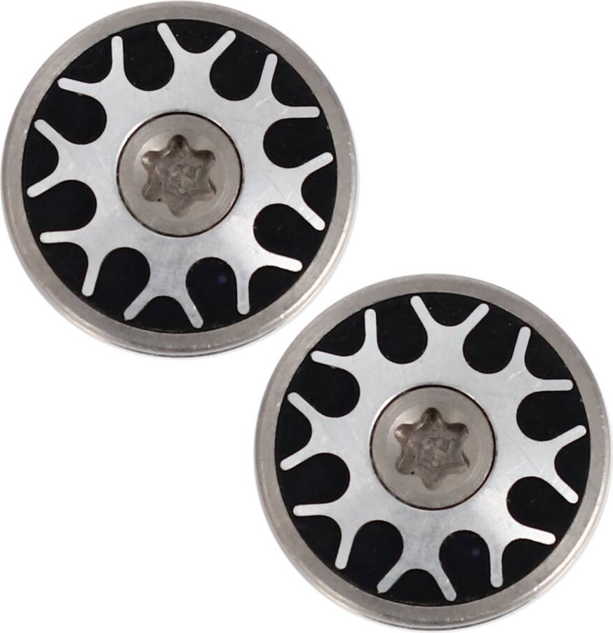 Typecat 2Pcs Lab Custom Weights 20G