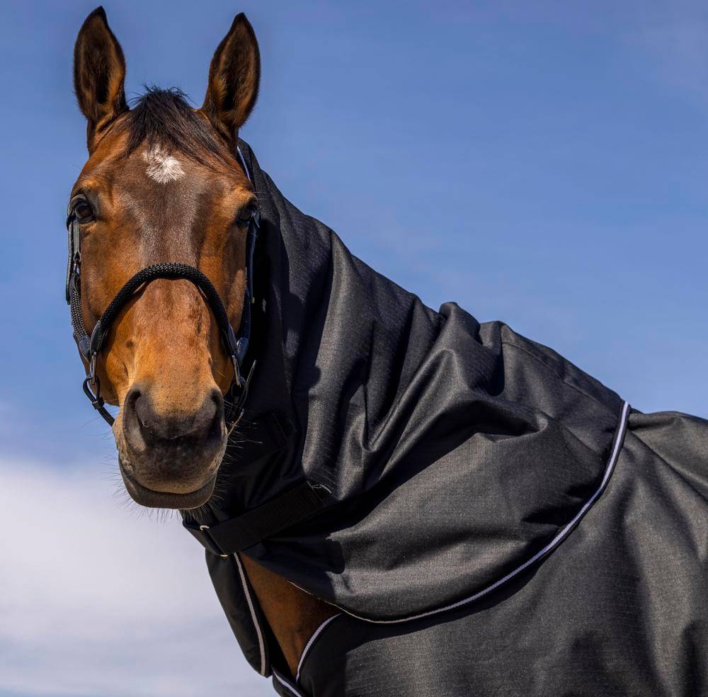 Neck Rug Tyrex 600D - Noir
