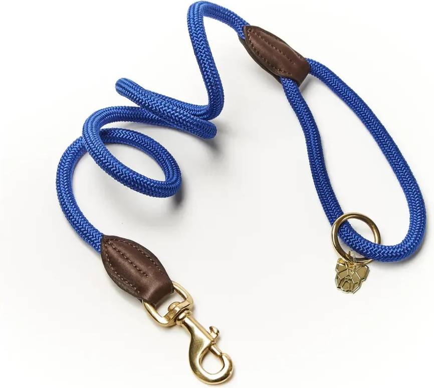 Digby & Fox and Fine Rope Lead Blue