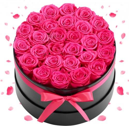 VEVOR 27 Stk Ewige Rosen Runder Box