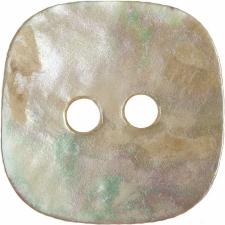 Hemline Square Shell Buttons Cream