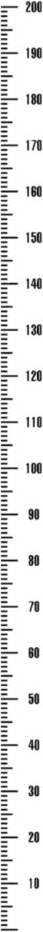Height Measurement Sticker Removable Wall Decal