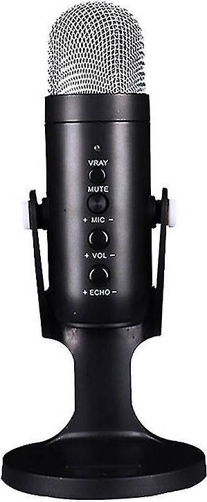 Condenser Video Microphone Interview