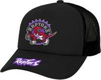 Toronto Raptors Trucker Cap Black