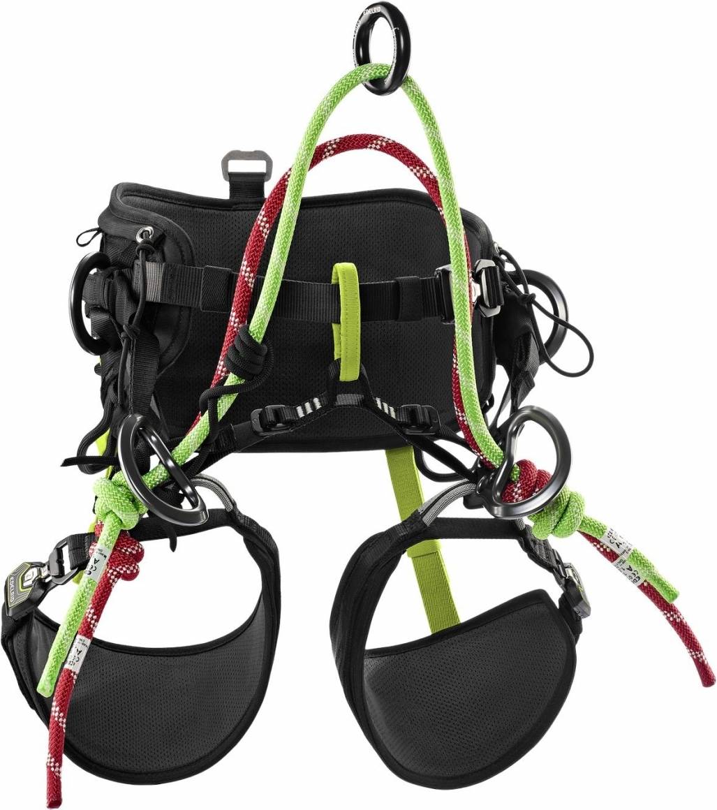 Edelrid TreeRex II Harness