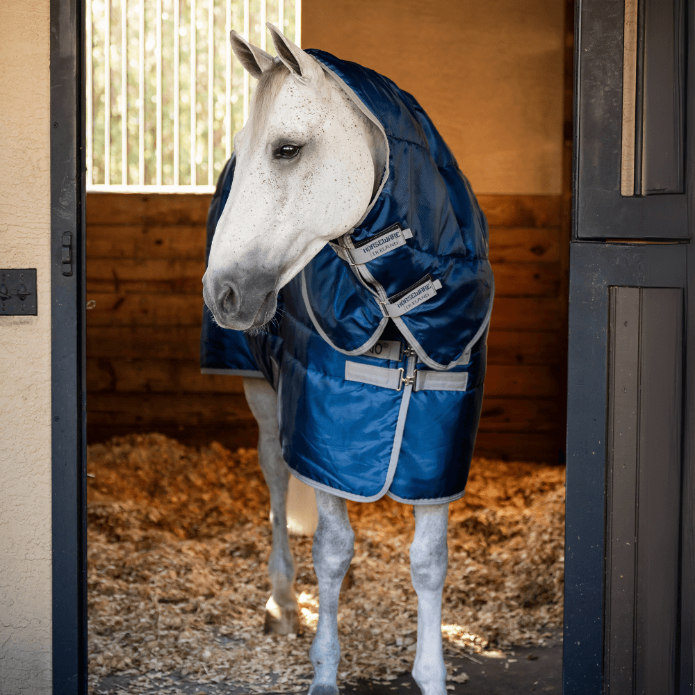 Horseware insulator Horseware Amigo Ripstop Insulator Plus Stable Rug - Navy
