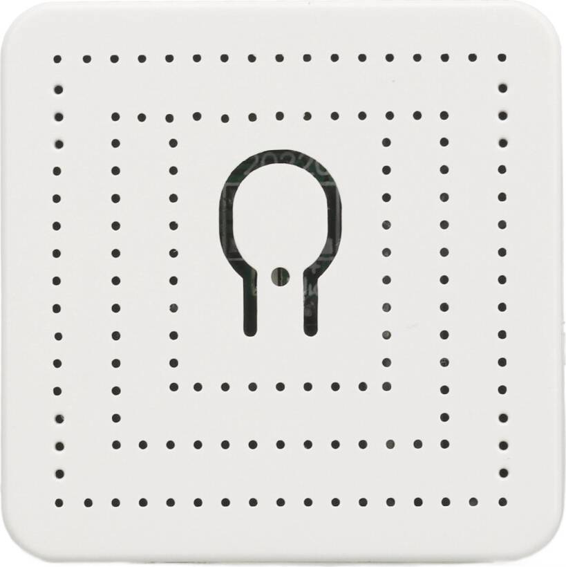 Home assistant voice 16A WiFi Smart Switch Timer