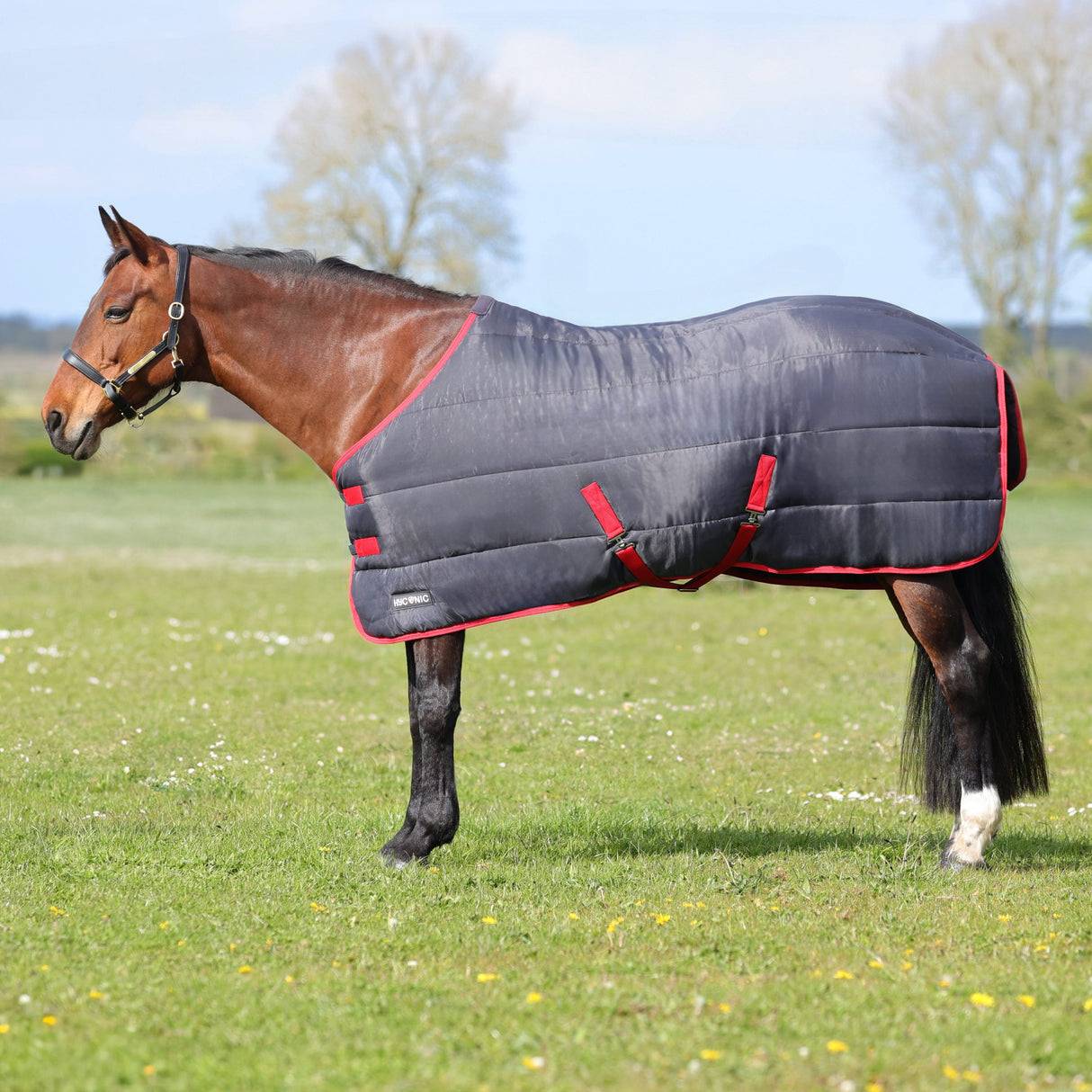 HY Stable Rug 250g