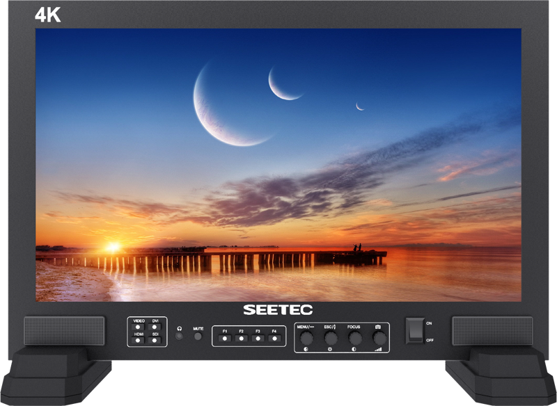 FS173-S4K 17.3 Inch Monitor