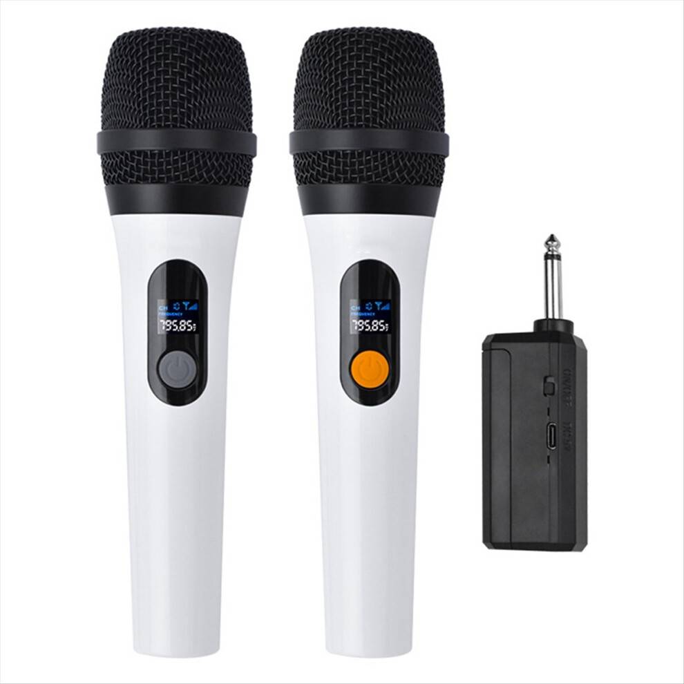 Microfono Portatile Wireless 2.4G