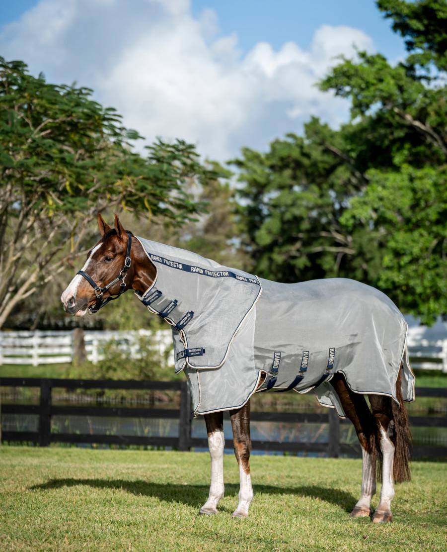 Horseware Rambo Protector Fieldsafe Plus