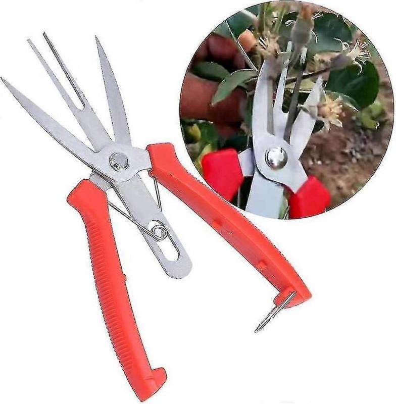 Stainless Forge Apple Tree Pear Scissors
