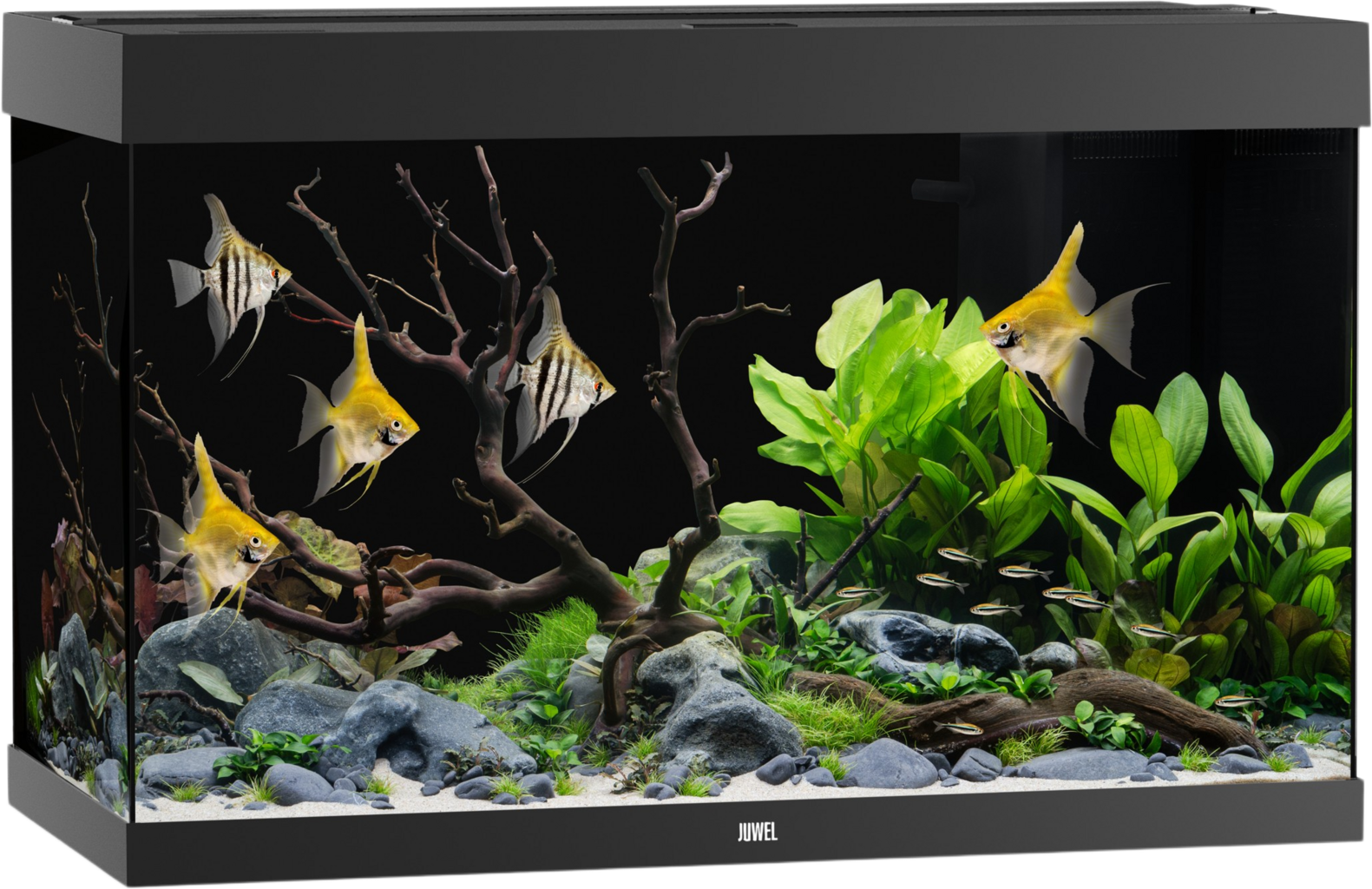 Juwel rio Juwel Rio 290 LED Sort