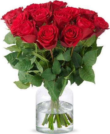 HP Red Roses 40 cm