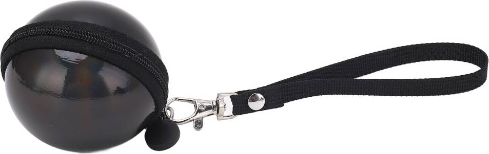 Mini Camera Case Hard Shell