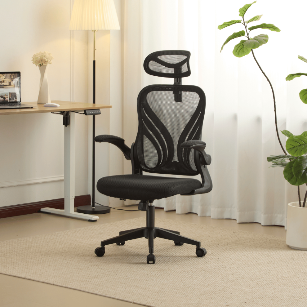Home Source Ergonomic Design Computer