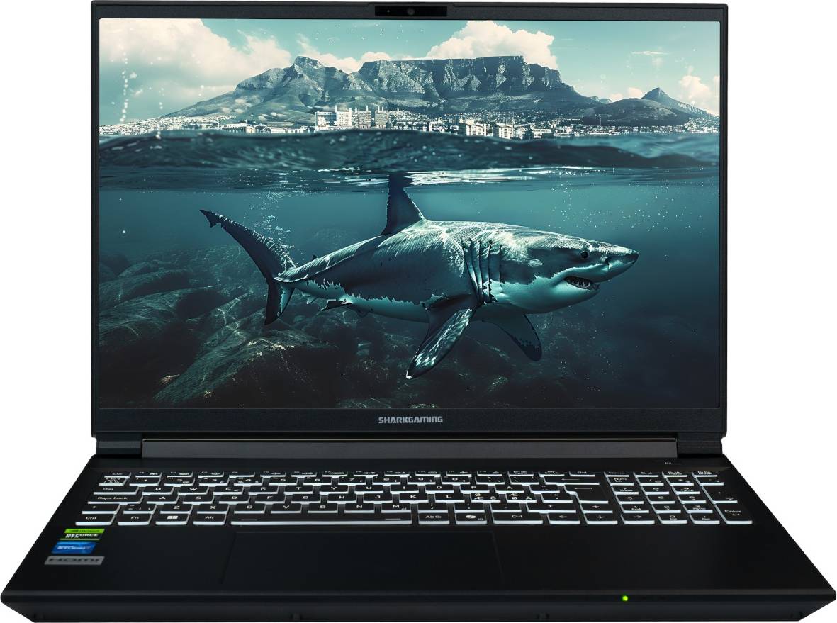 9V1660 R7 Laptop