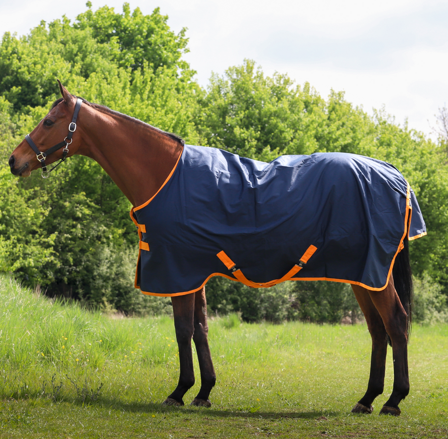Equestrian 600D Waterproof Turnout Rug