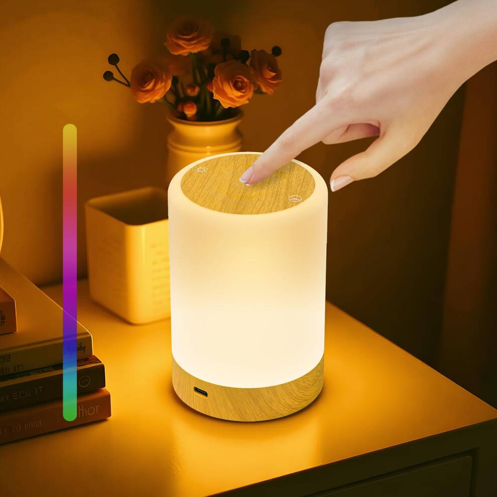 Dimmable touch bedside lamp Dimmable Rechargeable LED Night Light