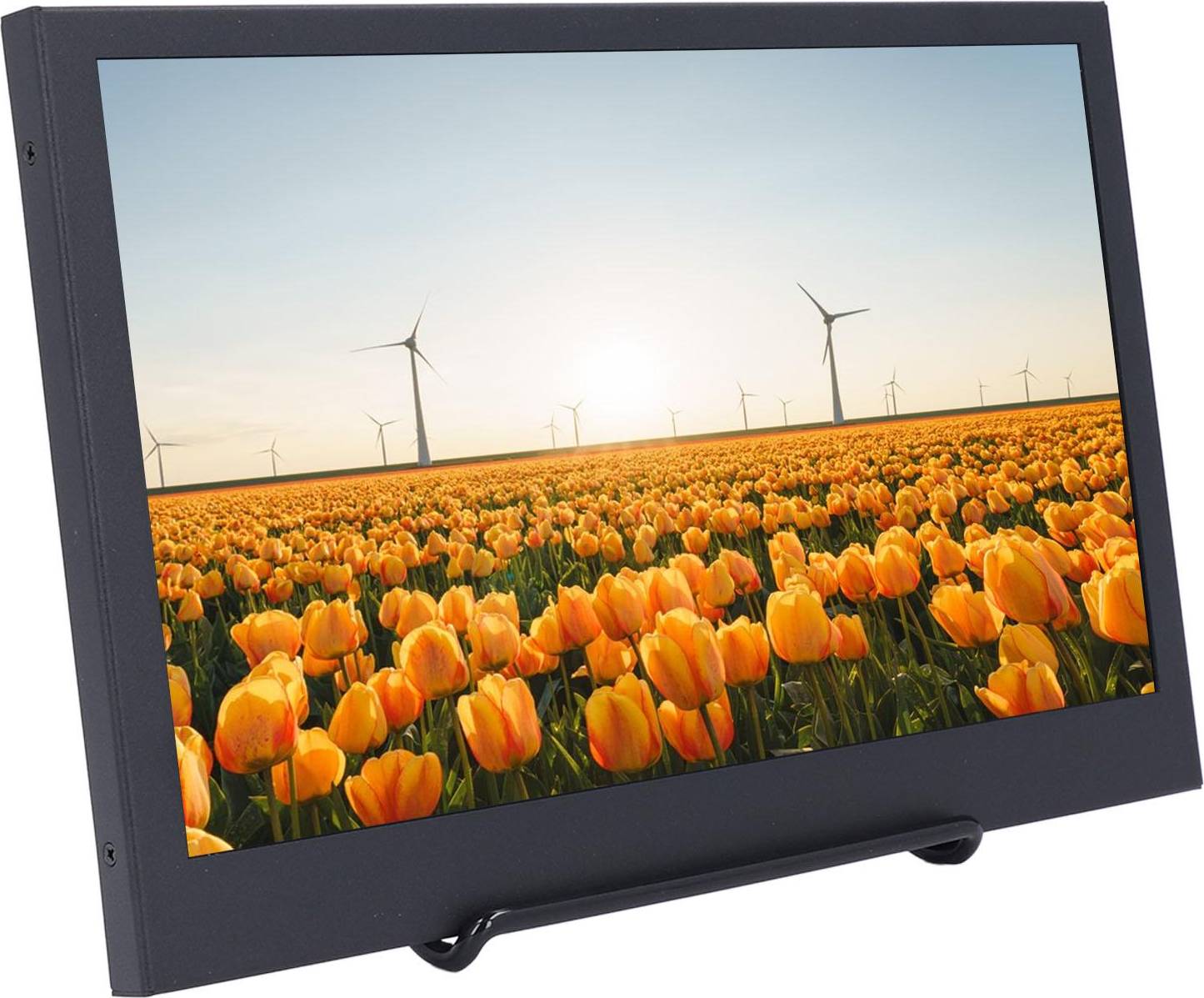 11.6 Inch IPS Display Screen