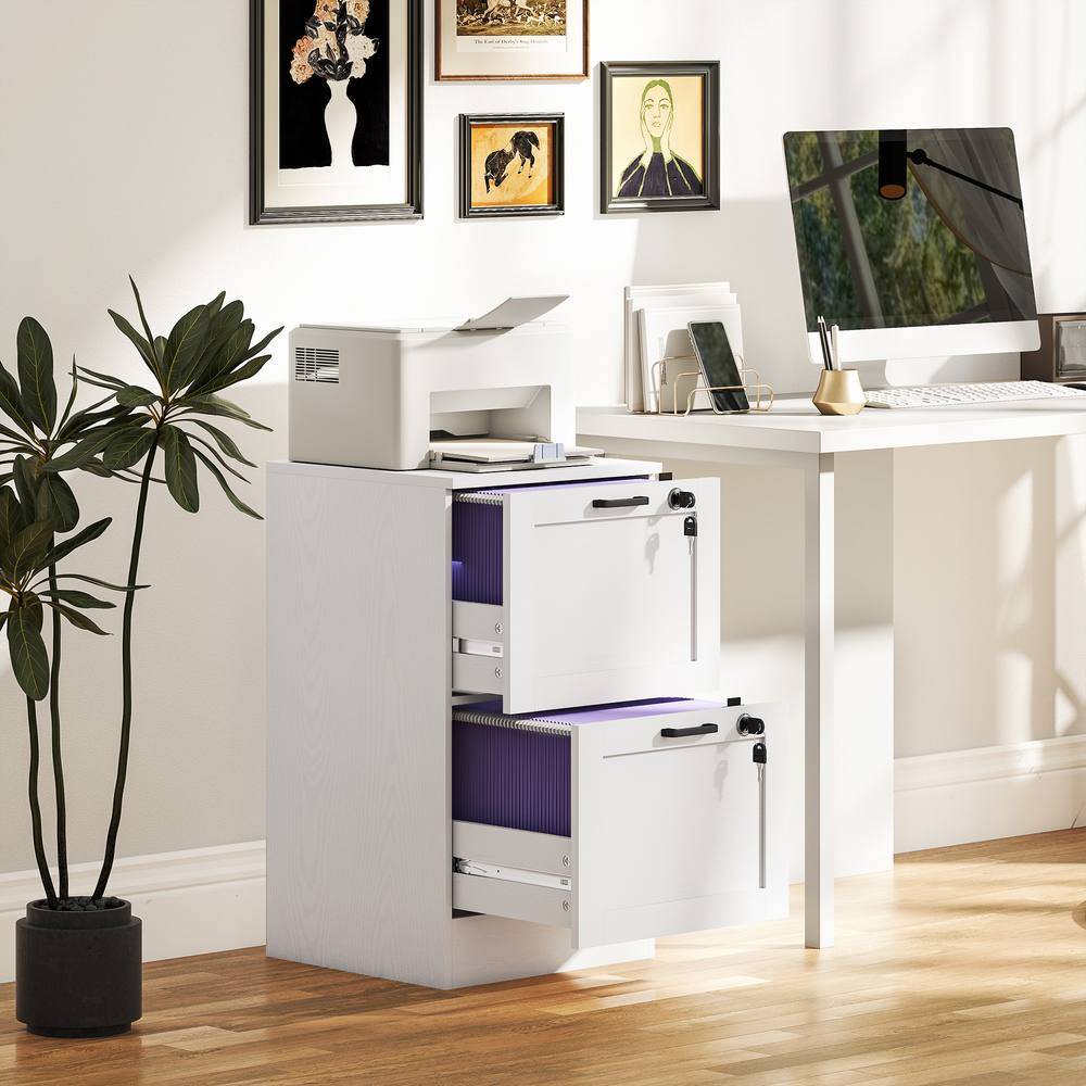 Homcom 2-Drawer Lockable File A4 Letter Storage Cabinet