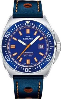 Delma Shell Star Quartz Watch