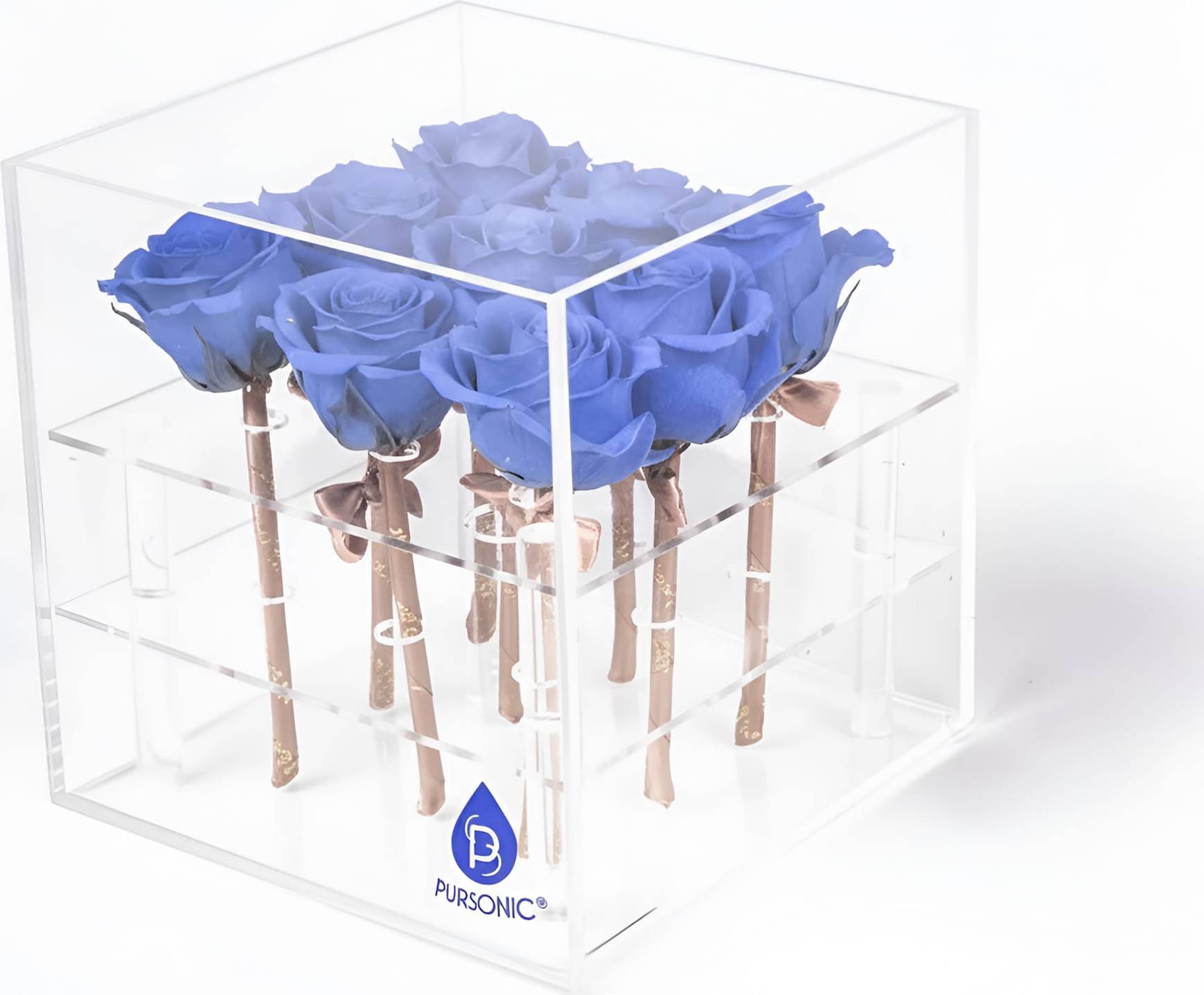 Pursonic 9 Preserved Roses in Acrylic Box