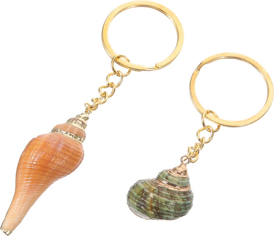 Solustre Natural Seashell Keychains Stylish Key Ring