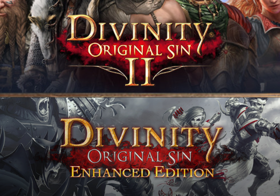 Divinity Original Sin 1 Bundle PC