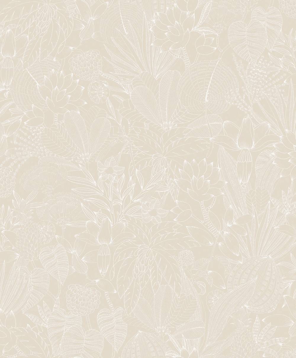 Midbec Bellis Angora ROM101