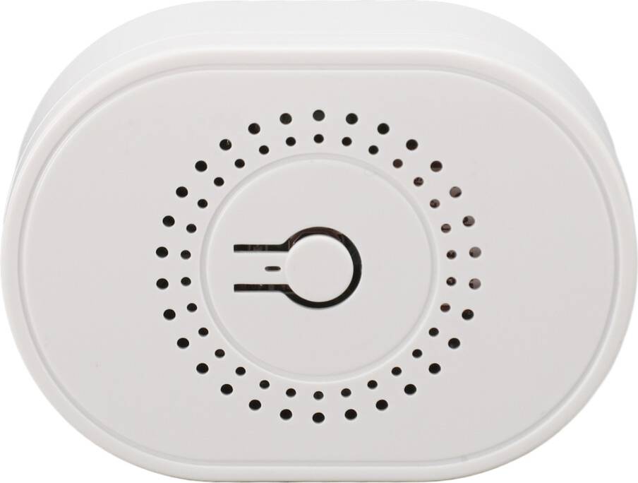 Google home mini Mini WiFi Smart Switch Relay Button