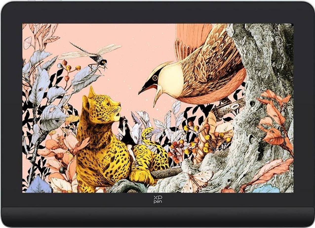 XP-Pen Artist Pro 16 Drawing Display